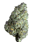 aleph swiss Bliss 17/1 Motor Breath